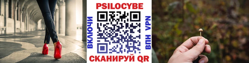 Псилоцибиновые грибы MAGIC MUSHROOMS  где купить наркоту  гидра tor  Камбарка 